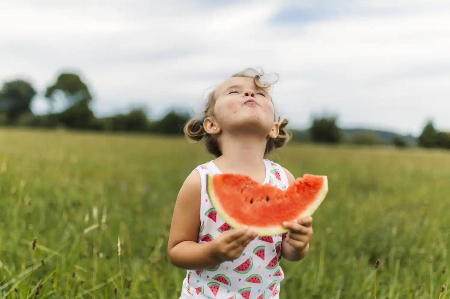 Ni omnívoros ni veganos: proponen una dieta “climariana”