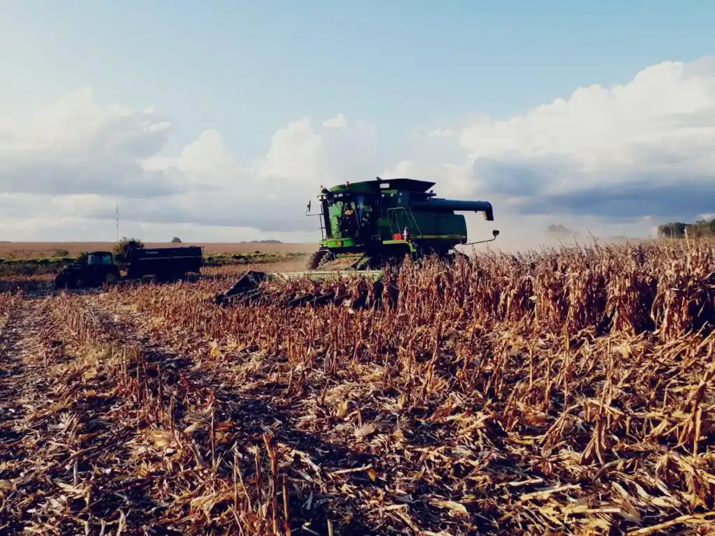 Cosecha récord en Entre Ríos: duplicó su producción durante el último año