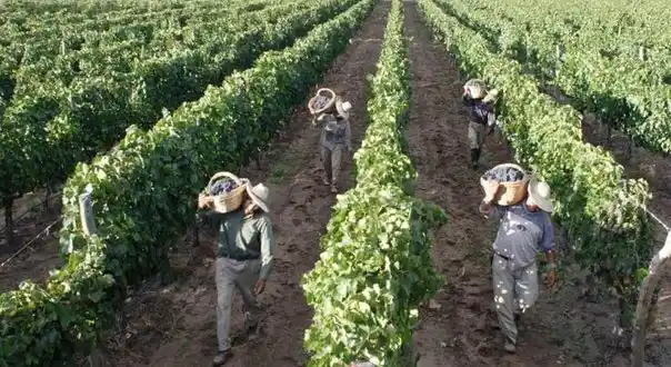 Ratifican cuatro procesamientos en dos causas por trata laboral