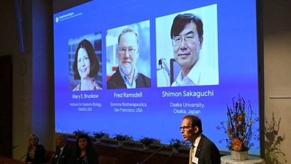 Investigadores sobre funcionamiento del sistema inmune ganan el Premio Nobel de Medicina