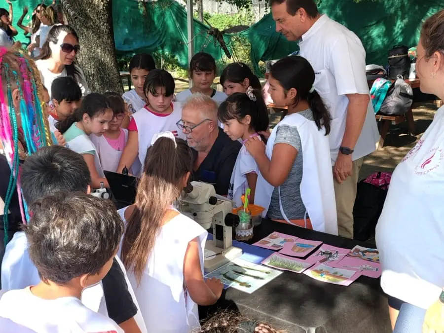 Objetivo Dengue: la prevención comenzó desde los más pequeños