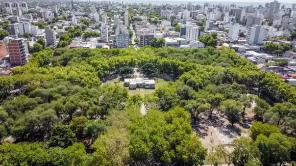 Programación de junio en el Sistema Municipal de Bibliotecas de General Pueyrredon