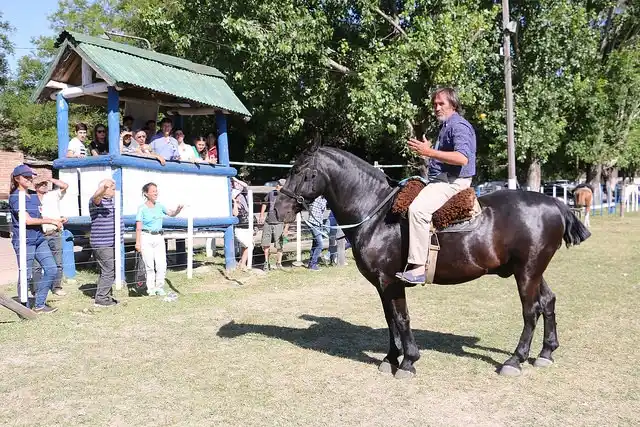 Agenda completa de actividades para este fin de semana en San Isidro