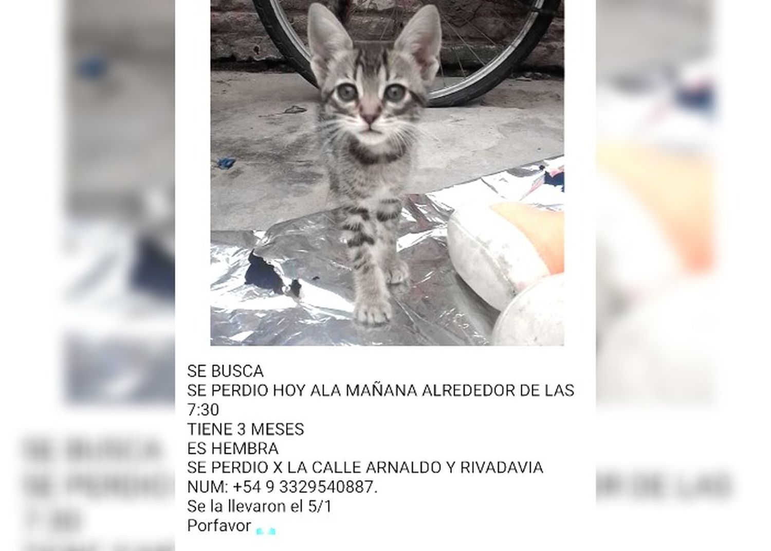 Se perdió en Arnaldo y Rivadavia
