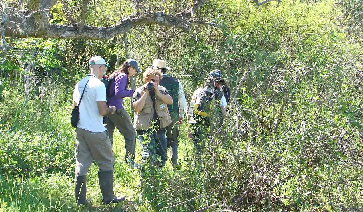 Curso sobre observación de aves