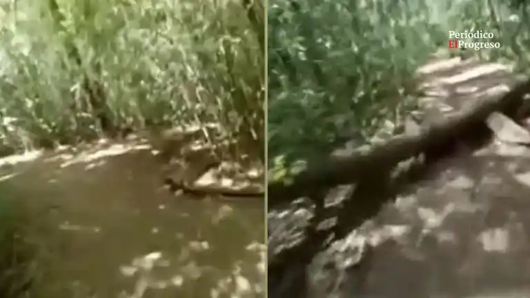 Berazategui: Iba en su bicicleta y filmó cuando le dispararon para robarle