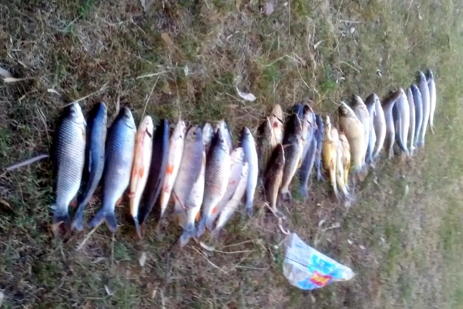 Se labraron más de 800 actas de infracción a la ley de caza y pesca durante el año