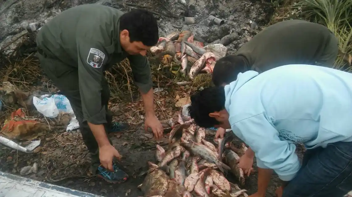 Continúa el relevamiento de pescadores comerciales y de subsistencia