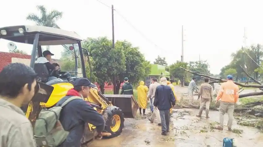 Un temporal de lluvia y viento provocó daños en viviendas y caídas de árboles en El Espinillo