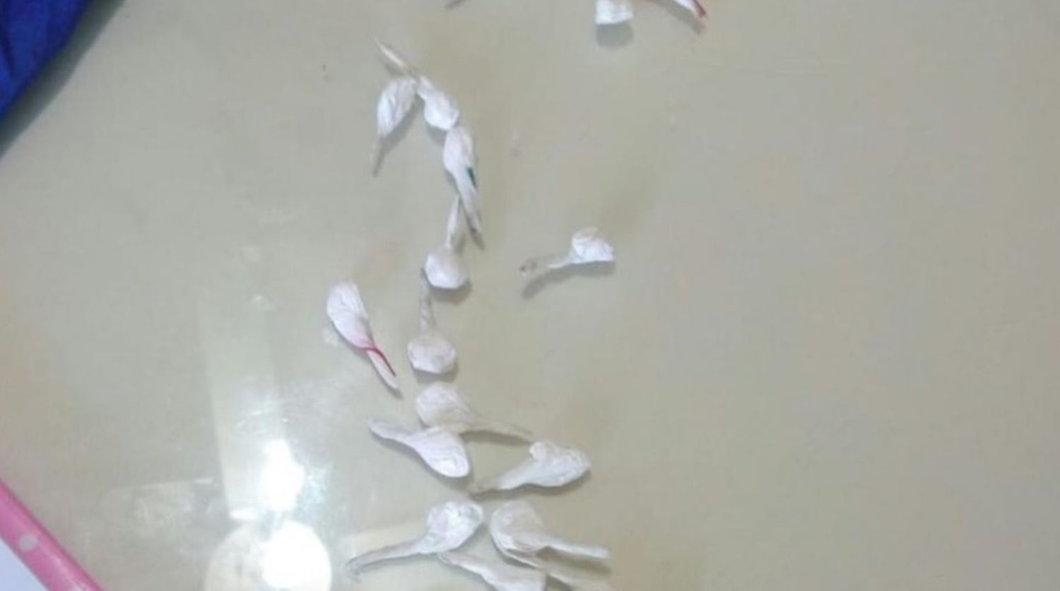 Decadencia total: descubren a una alumna con 32 dosis de cocaína en el colegio