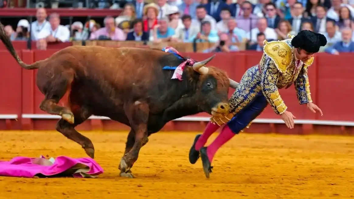 Morante de La Puebla sufrió brutal cornada en Sevilla y es operado de urgencia