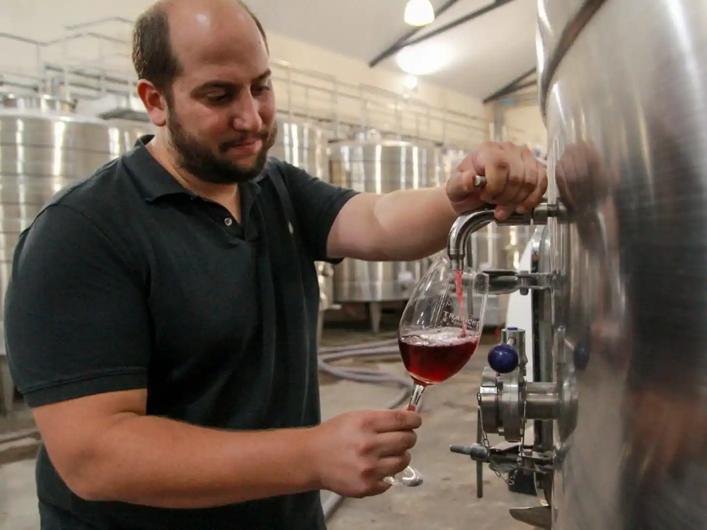 "No solo calidad en los vinos, sino calidad de vida para los que estamos todo el día en las viñas", indicaron.