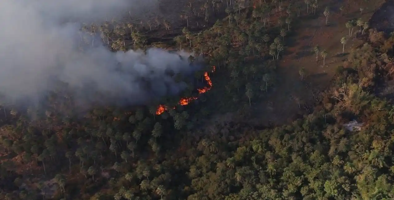 Se quemaron más de un millón de hectáreas en Corrientes
