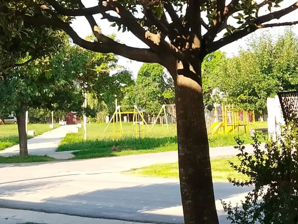 Piden que corten el pasto en barrio Futuro