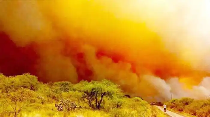 Los productores de Entre Ríos perdieron más de $1.200 millones  por los incendios