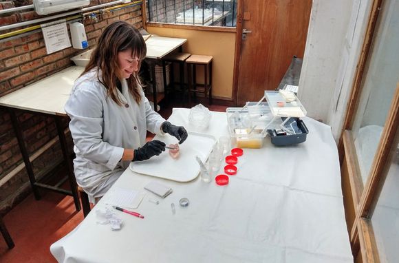 Celebran la recomposición de becas al CONICET: "Es lo que alimenta al sistema científico"
