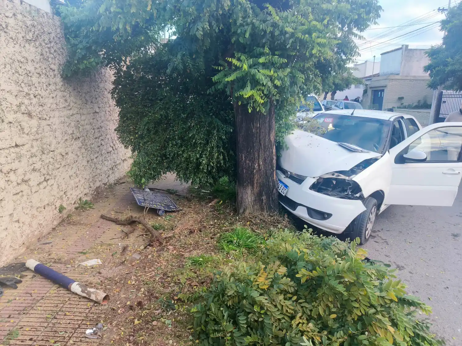 Perdió el control de su auto y chocó contra un árbol