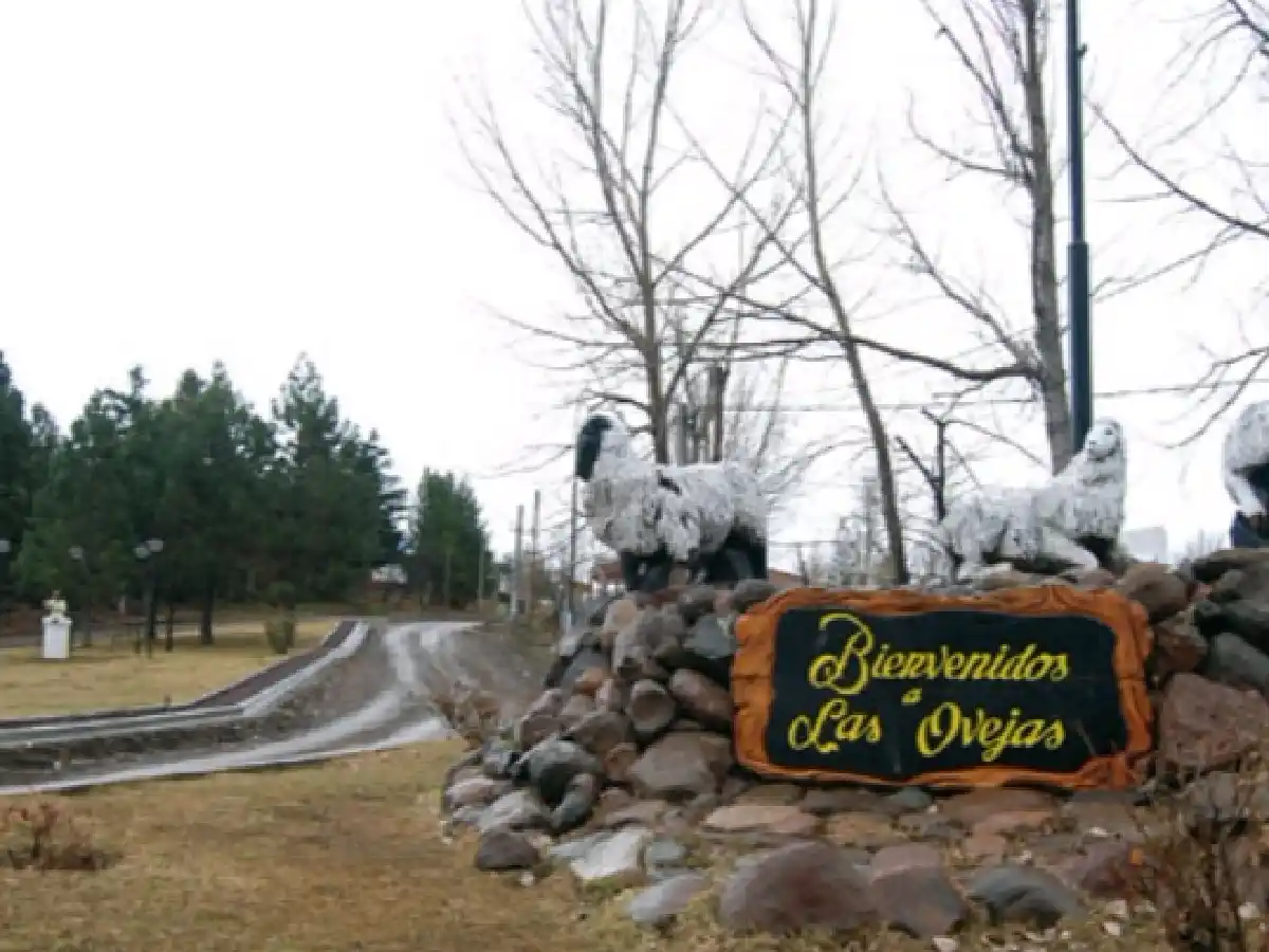 Neuquén: una mujer y su hija fueron asesinadas y buscan a una ex pareja