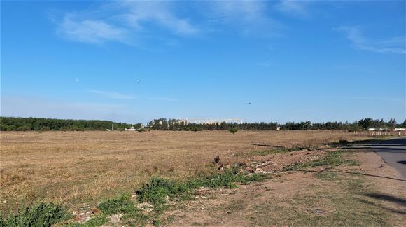 Vecinos de Bajo Puerto y Bajo Cementerio piden al Concejo que intervenga para la “expropiación” del predio de Arcor
