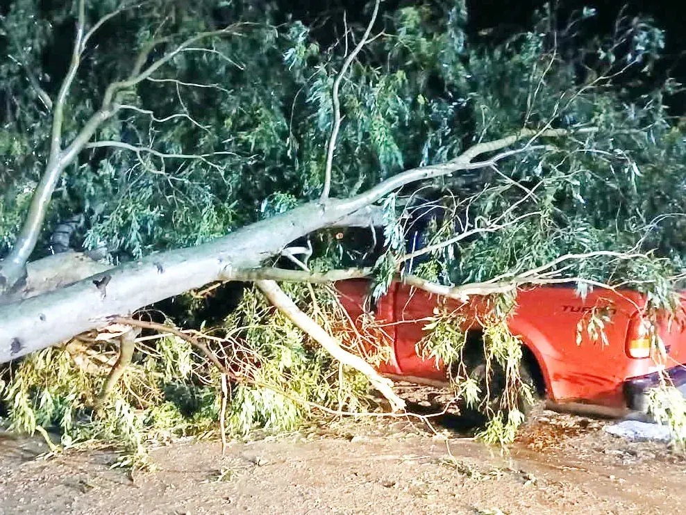 General Campos: el intendente calificó como “catastrófica” la tormenta que afectó a casi todo el pueblo