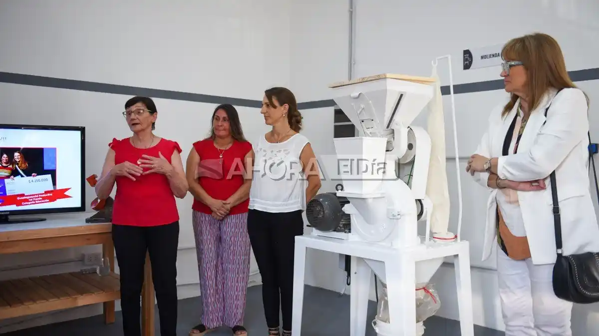 acela molino harina sin tacc - 2