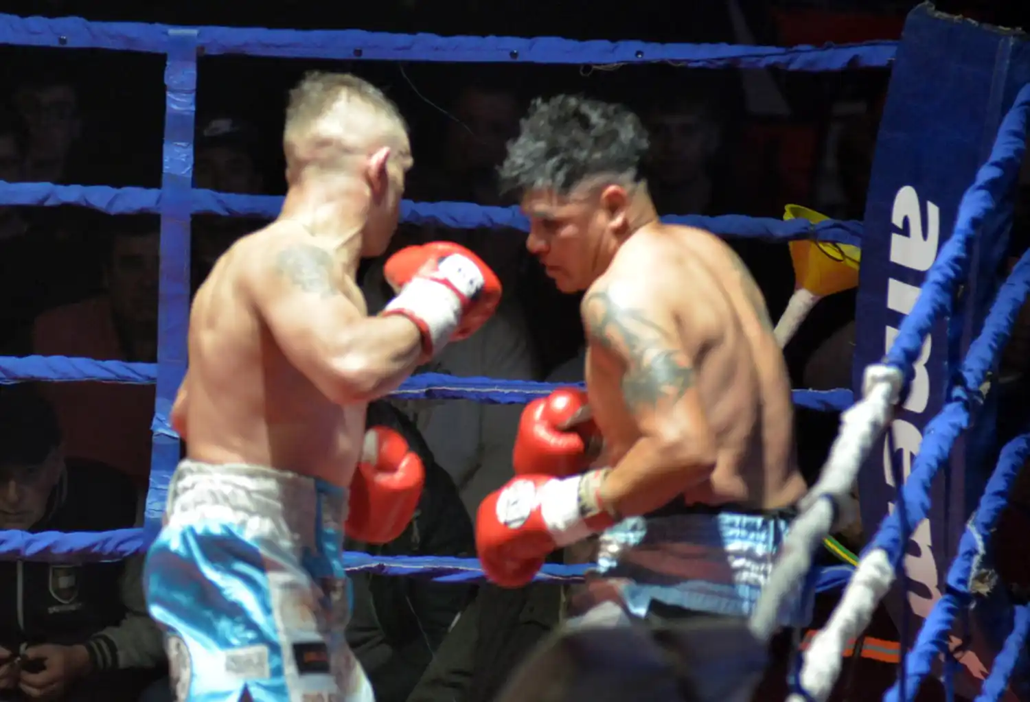 Cobrita Rueda boxeo - 4