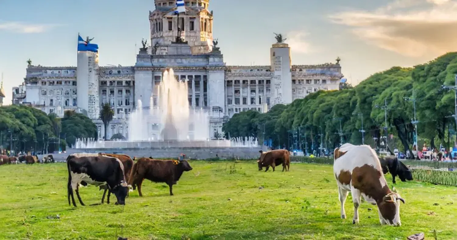 Entre los 2.095 proyectos legislativos presentados, solo 106 abordan cuestiones vinculadas al agro.