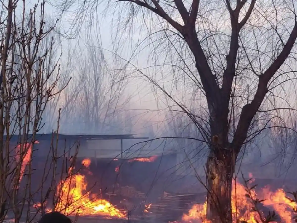 Voraz incendio en Mendoza: evacuados y 40 casas quemadas