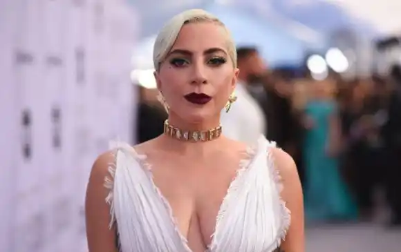 Detienen a cinco hombres por secuestro de los perros de Lady Gaga