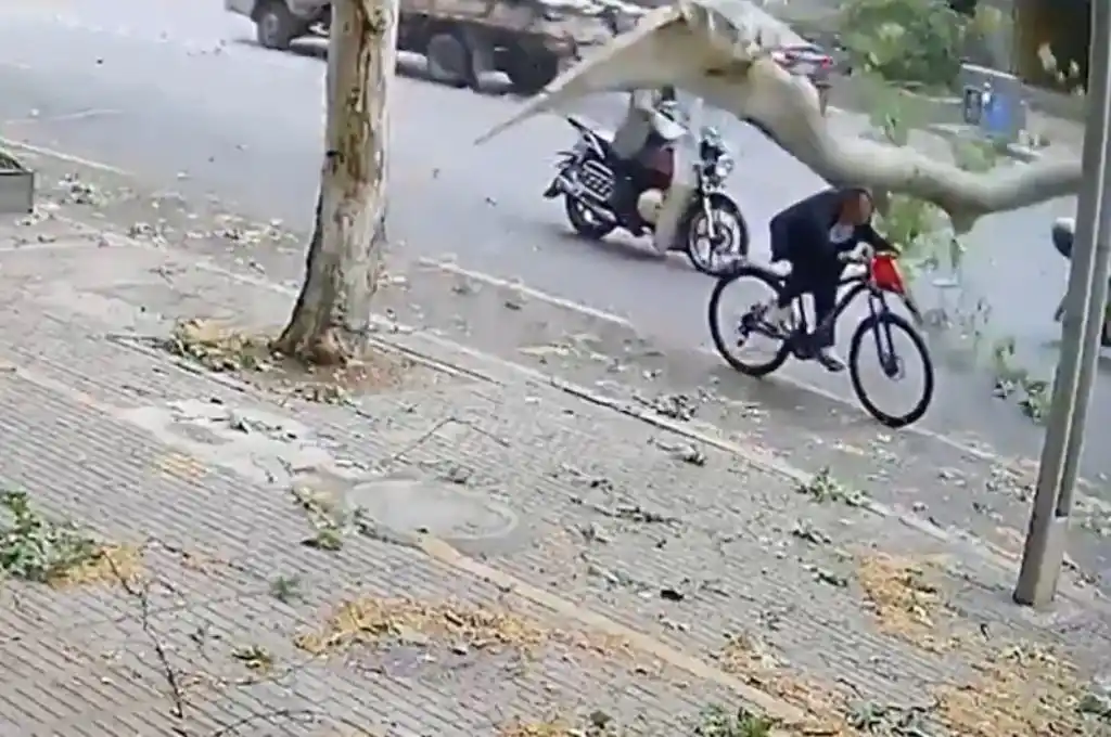 Se salvó de milagro