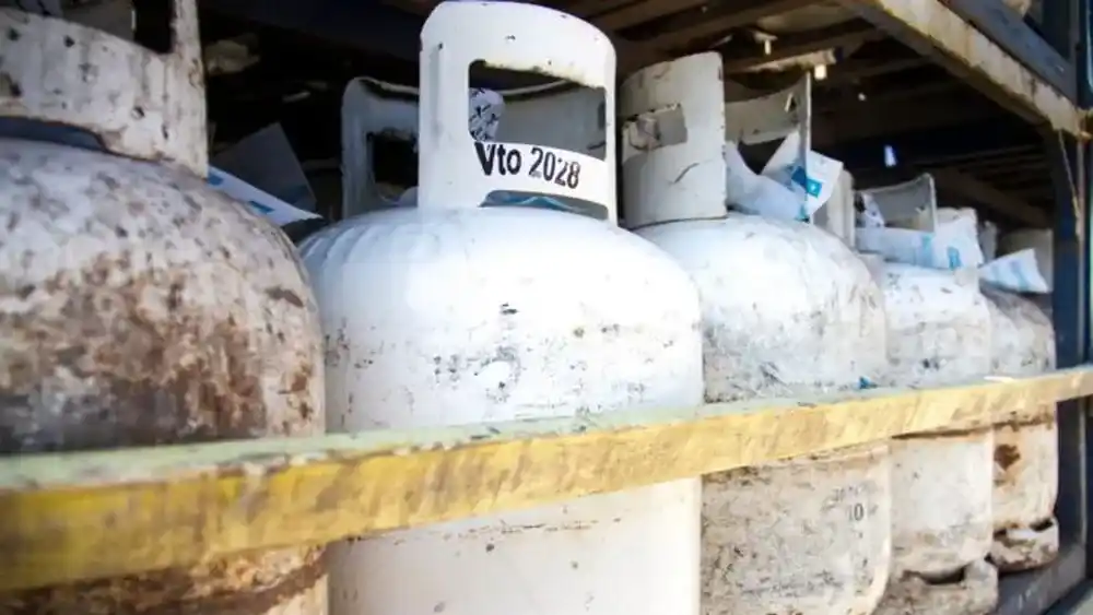 El esquema contempla cobertura diferencial según la época del año.