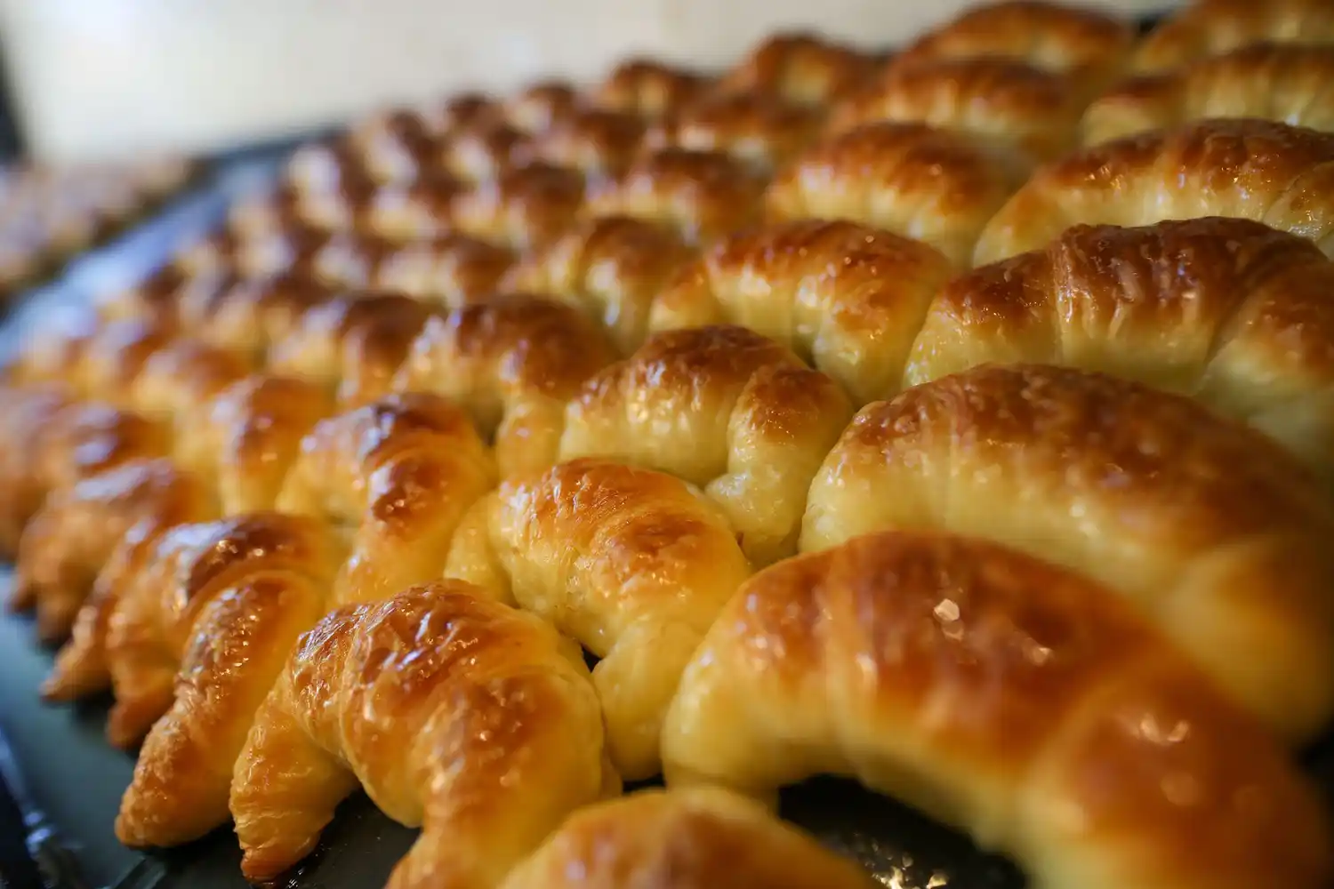 Todo listo en Mar del Plata para la segunda Fiesta de la Medialuna
