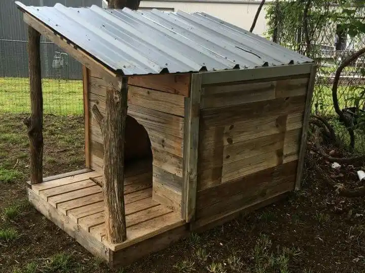 El curioso caso de Alem al 900: se avergonzó y se escondió casi dos meses en la cucha del perro