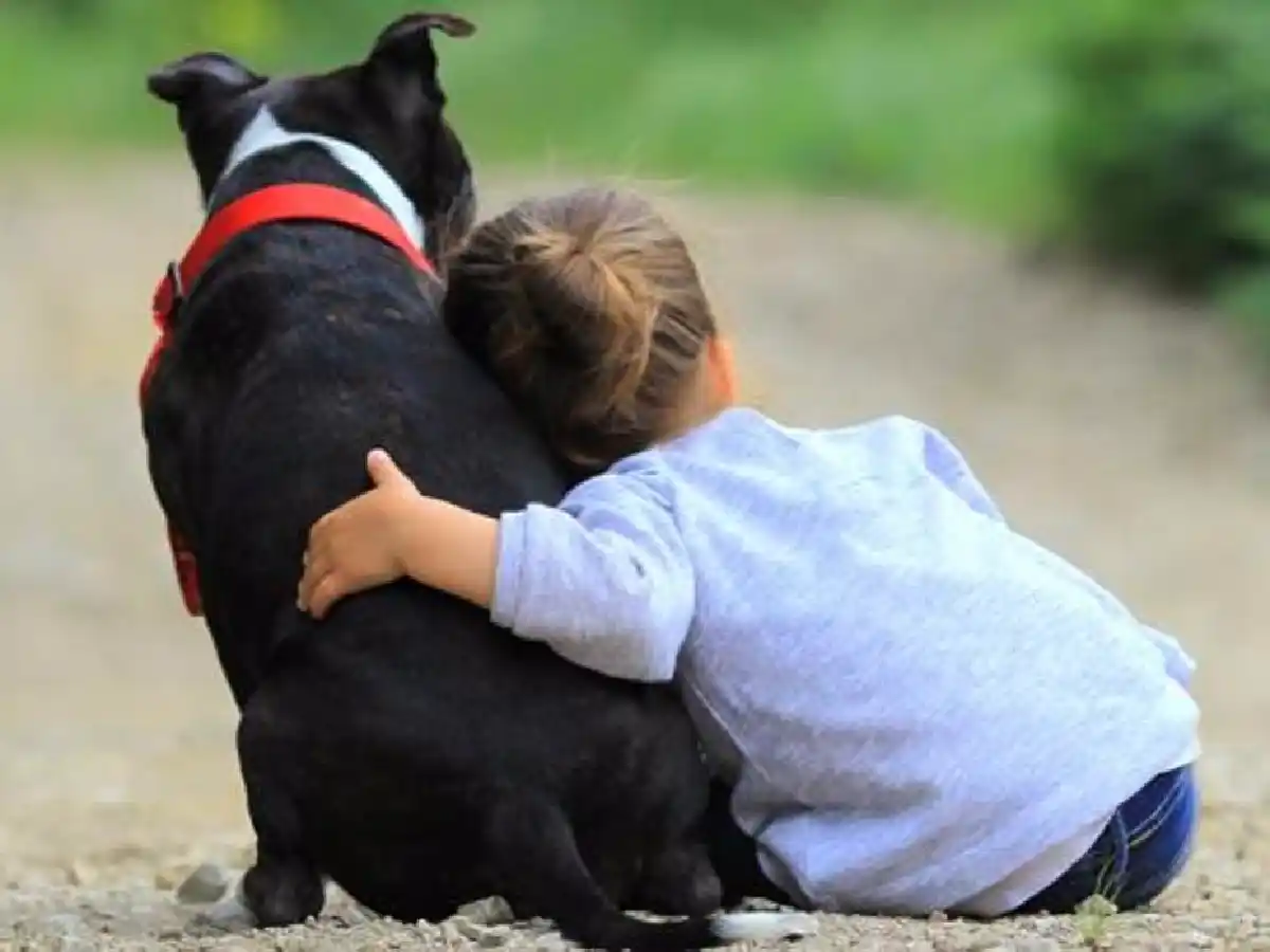 ¿Qué hacer cuando los chicos piden una mascota?