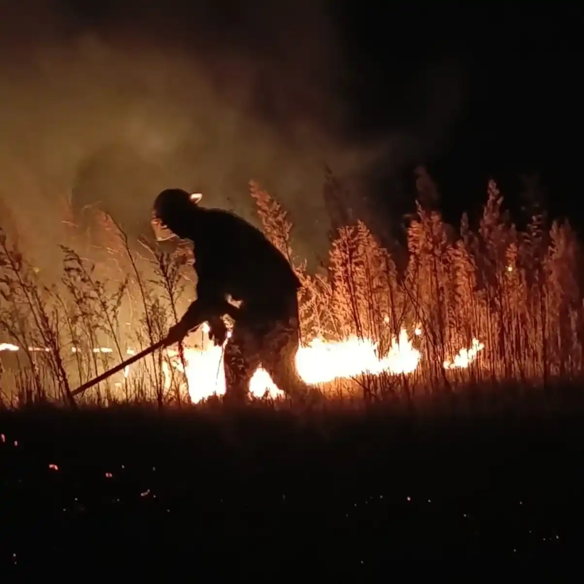 El Empalme incendio