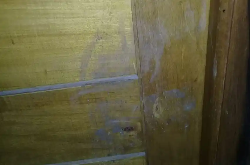 Ola de robos en el barrio San Patricio: intentaron romper una puerta a patadas