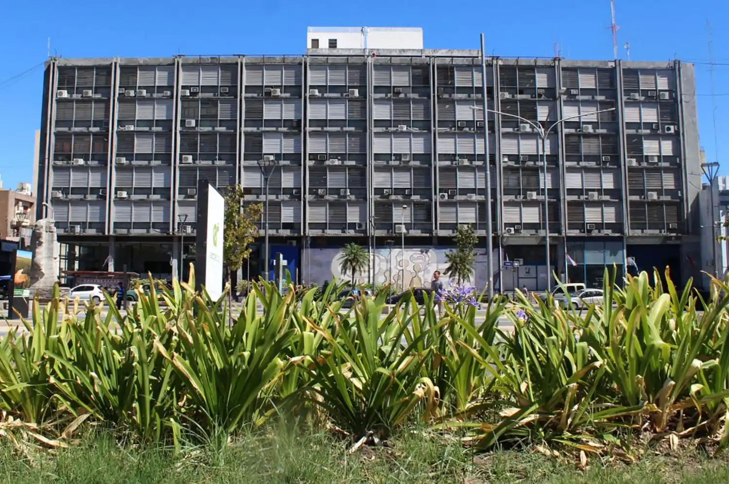 El CGE retoma la atención al público de manera presencial