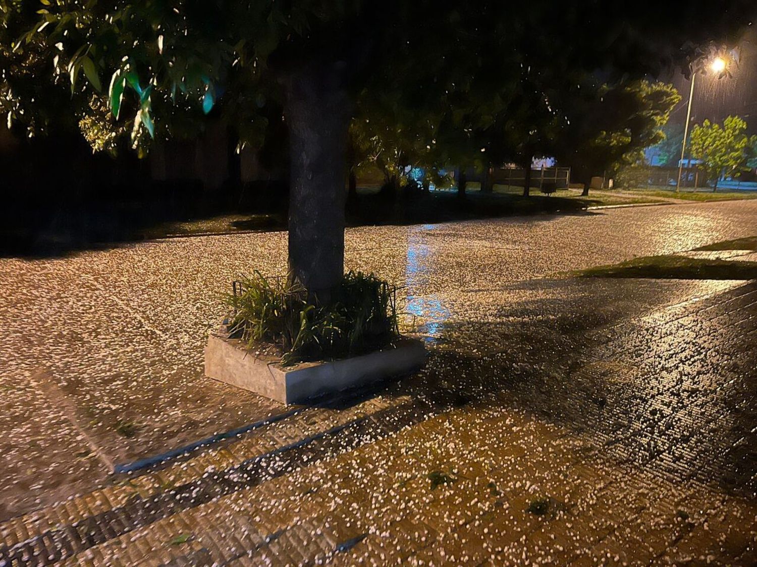 VIDEO: Violento temporal con fuerte caída de granizo en Elortondo 