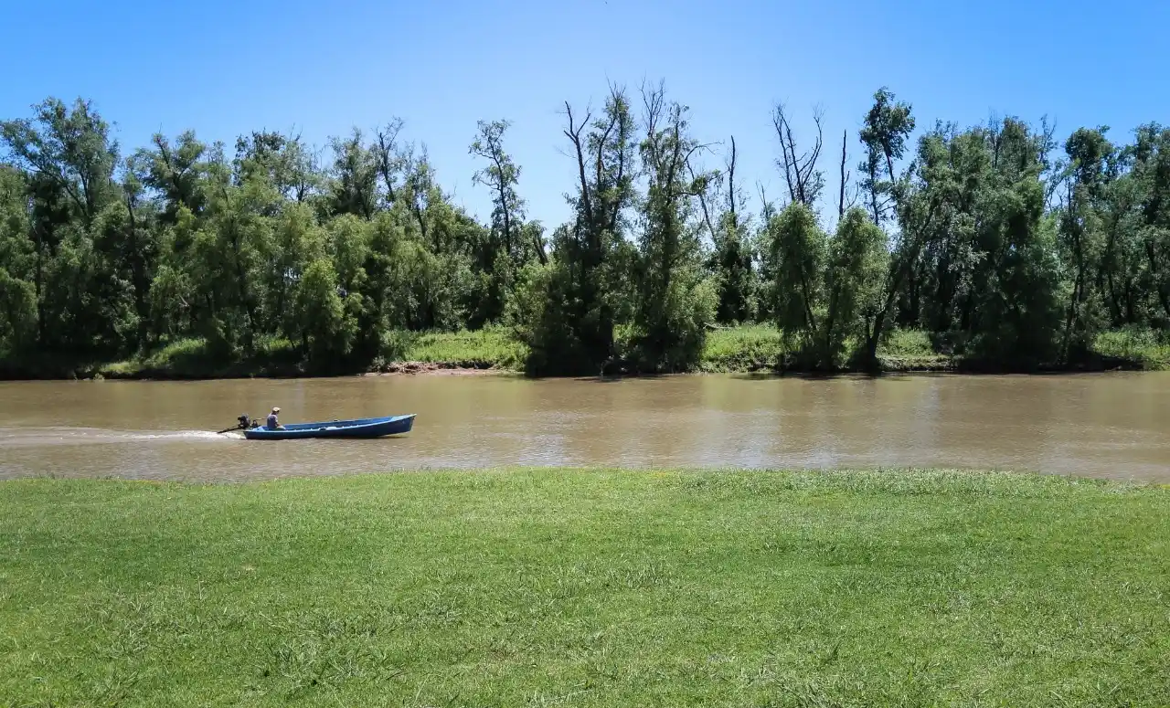 Poesía y protección ambiental en un bosque homenaje a Aníbal de Antón
