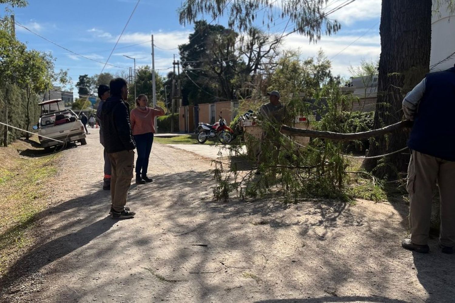 Vecinos en riesgo por tala ilegal en zona urbana: ¿en qué barrio?