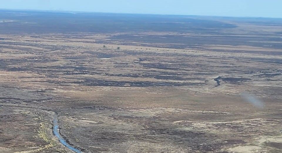 Ecocidio en islas: repliegan el personal tras la extinción de focos y confirman San Pedro como base activa