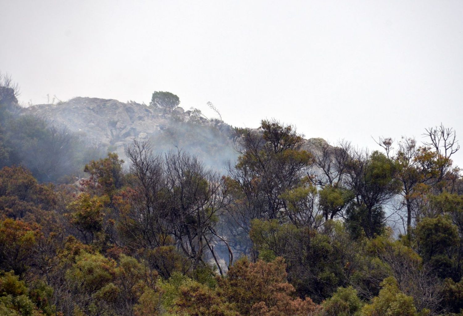 “Ya empezó, la crisis climática está en la puerta”, el comunicado de Jóvenes por el Clima Tandil