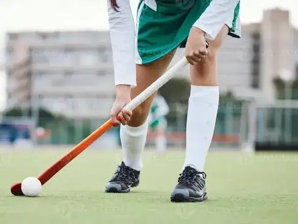 hockey fem