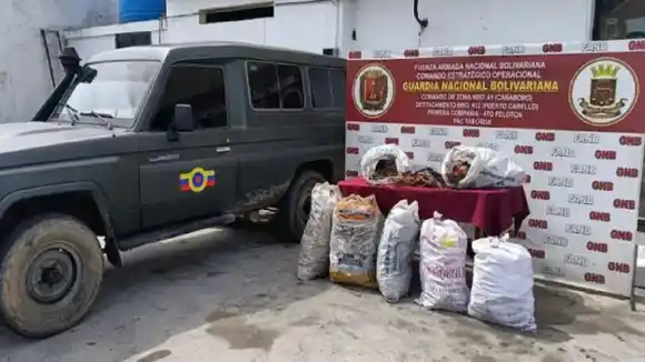 ¡De la «GLORIOSA FANB»! OBSERVE lo que contrabandeaba un capitán en un vehículo militar