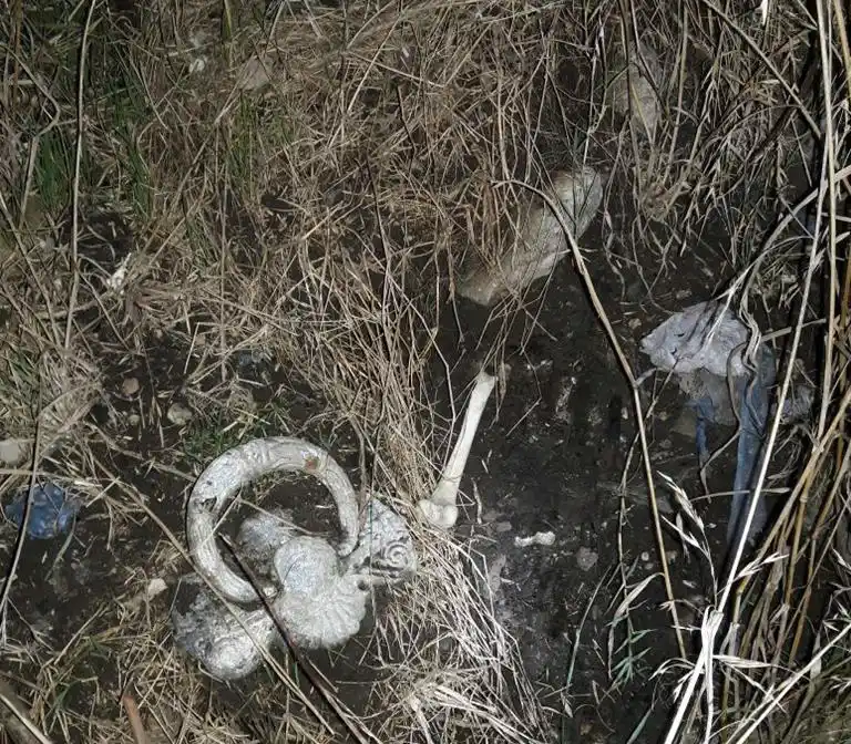 Preocupación de vecinos por la aparición de  restos humanos en el ex basurero de Vela