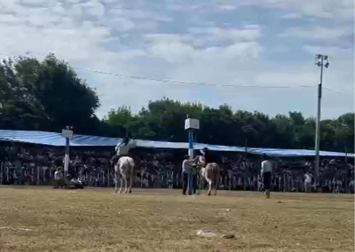 ¿Cuántos segundos tardó el caballo El Coronel en voltear al jinete Cepillo?: Valentina y Miguel, los ganadores
