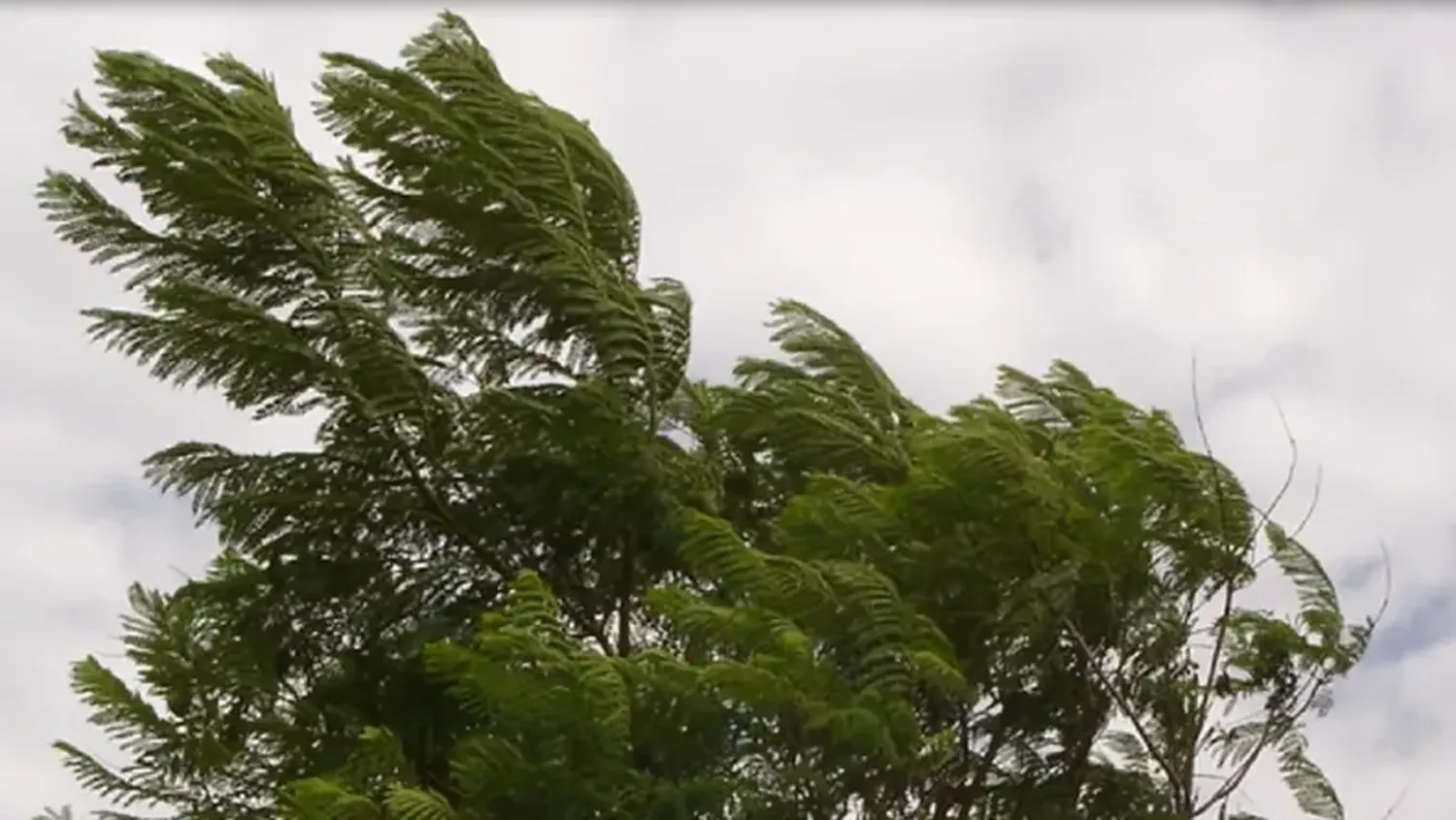 ¿Qué es un tornado? Definición, tipos, dónde se producen y cómo protegerse