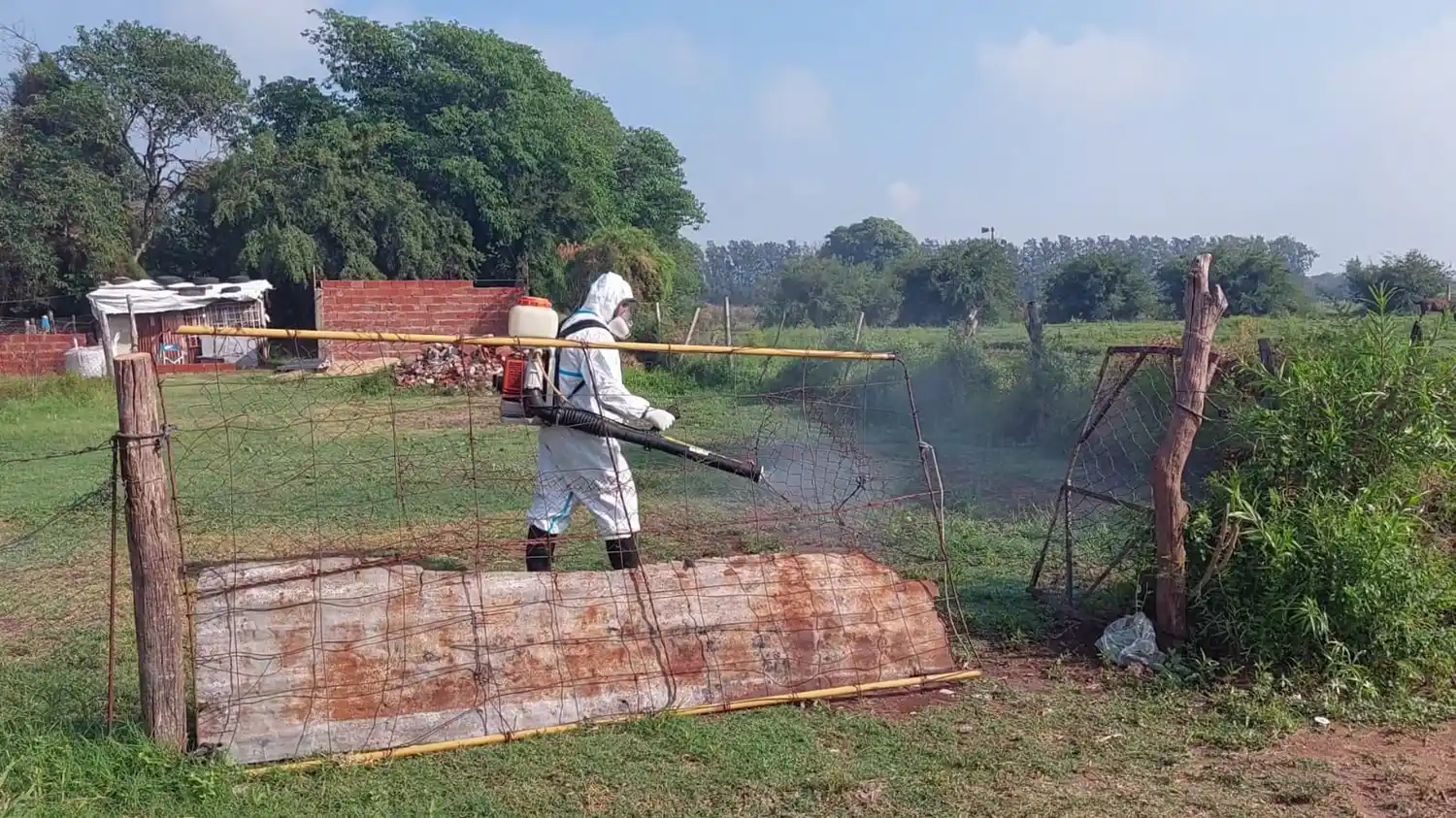 Dengue positivo: la paciente “está muy bien” y el operativo de control seguirá en el barrio
