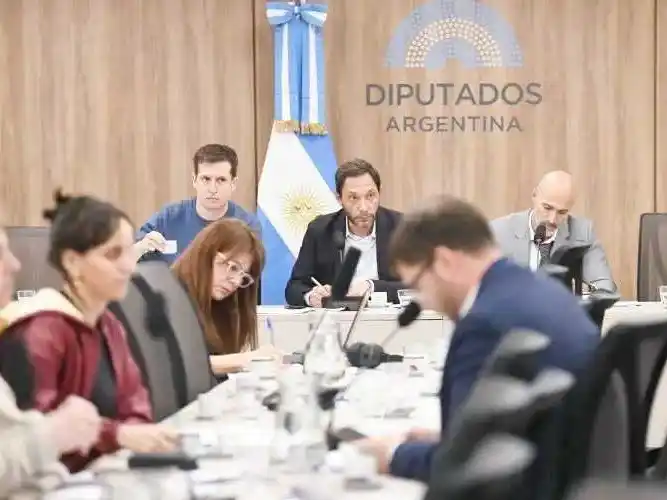 Expectativa en el Congreso por el informe 
final de la comisión investigadora de $LIBRA