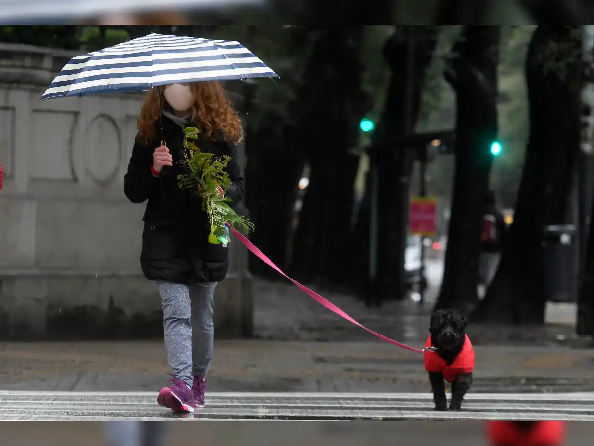 Nuevo parte por Covid: registraron otras 38 muertes en el país